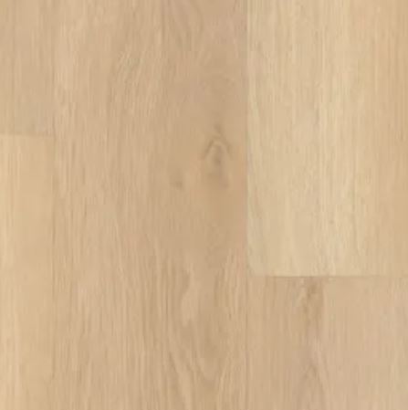 Shaw Endura Plus White Sand