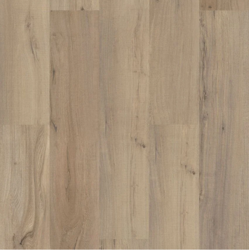 Shaw Endura Plus Driftwood