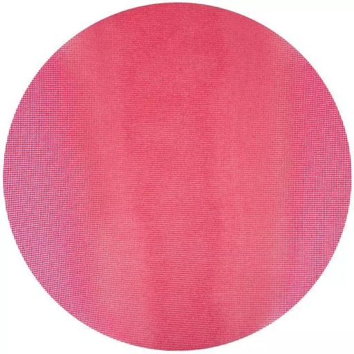 Norton 16" Floor Screen 100 Grit 66261026300